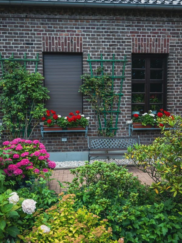 Garden Garden